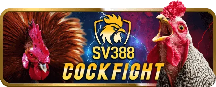 Bảo mật dữ liệu và quyền riêng tư tại ee88 casino